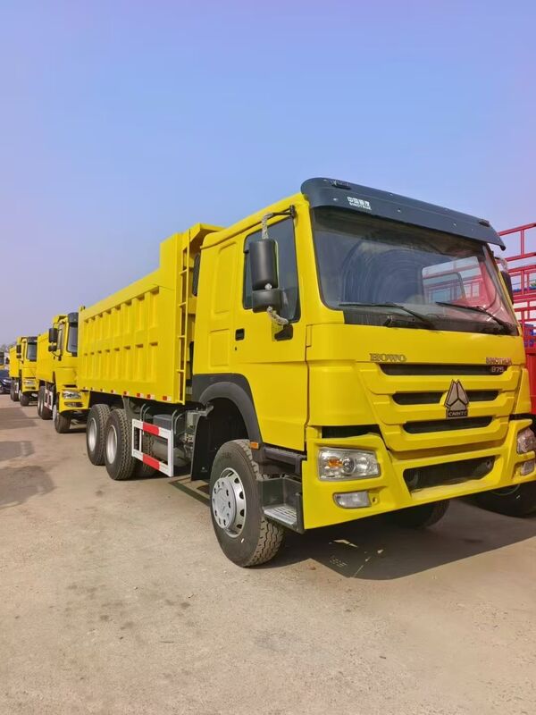 Second Hand Used 375HP 12 Wheels 8x4 SINOTRUCK Howo Euro 2 Diesel Left Steering Heavy Dump Truck Tipper Truck for Sale